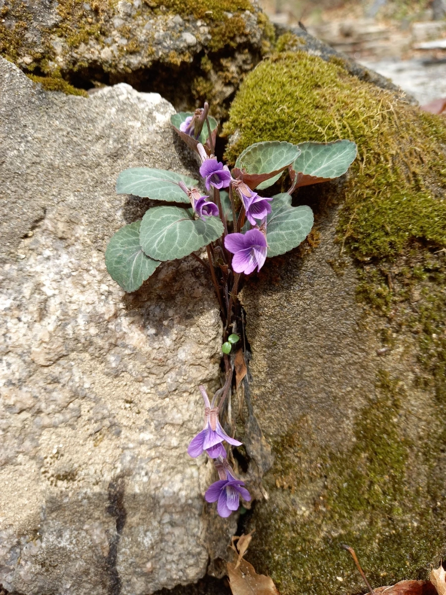 20210404%EF%BC%BF142043.jpg?type=w3840