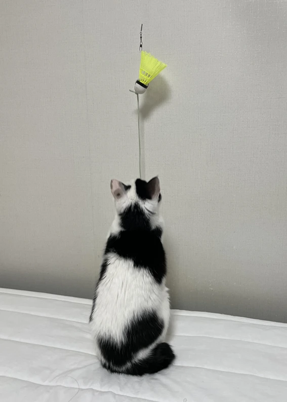 image.png?type=w3840