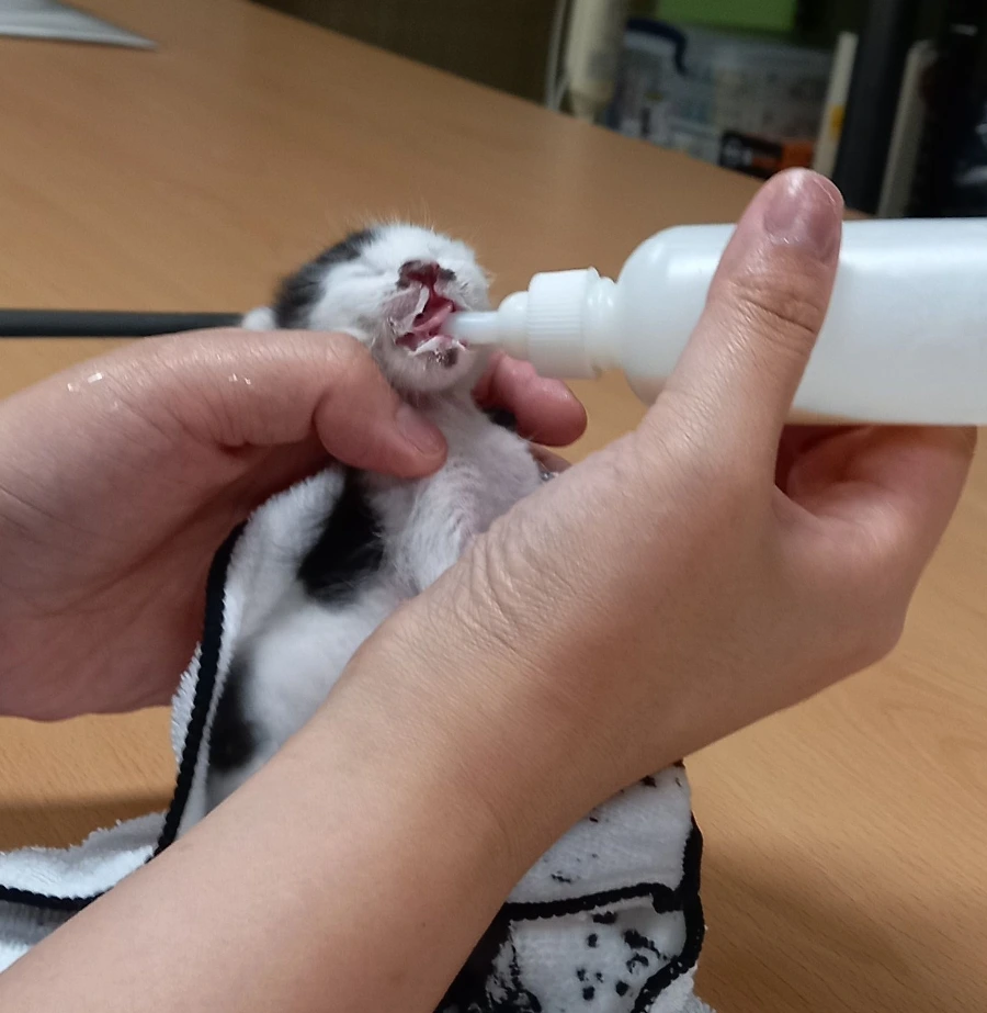 1689862198354.jpg?type=w3840