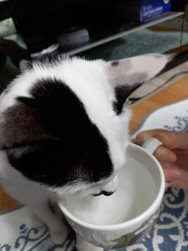 KakaoTalk_20230122_212858155_08.jpg?type=w773