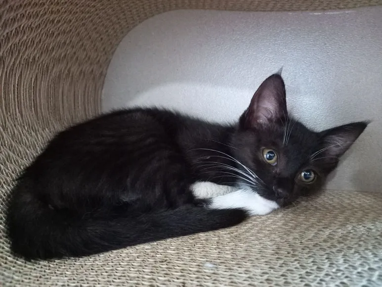 20220619_102059.jpg?type=w773