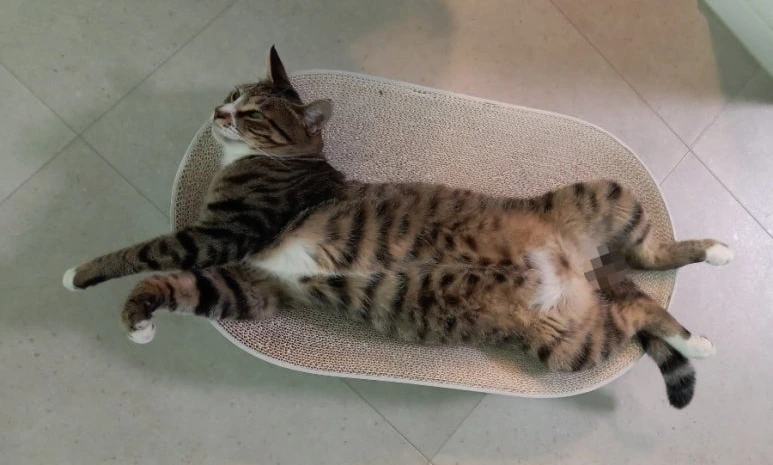 1726656633619.jpg?type=w773