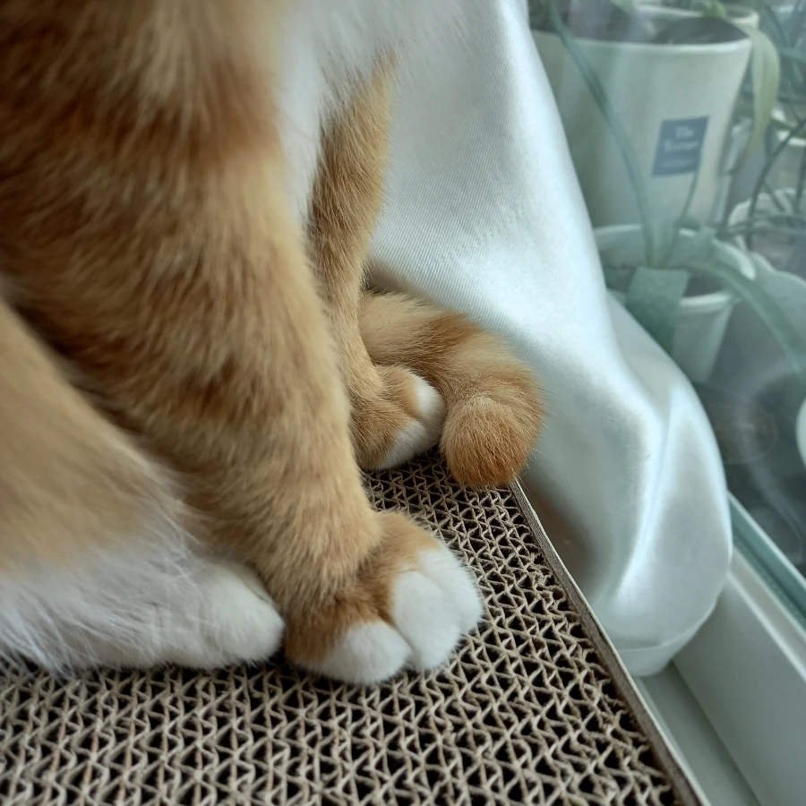 20240122%EF%BC%BF115455.jpg?type=w3840