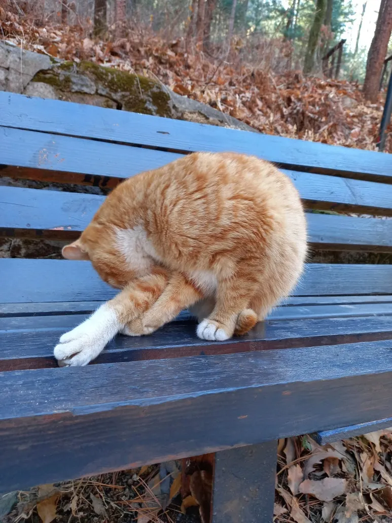 20210226_102557.jpg?type=w773