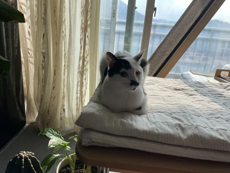 KakaoTalk_20221209_140236138_05.jpg?type=w773