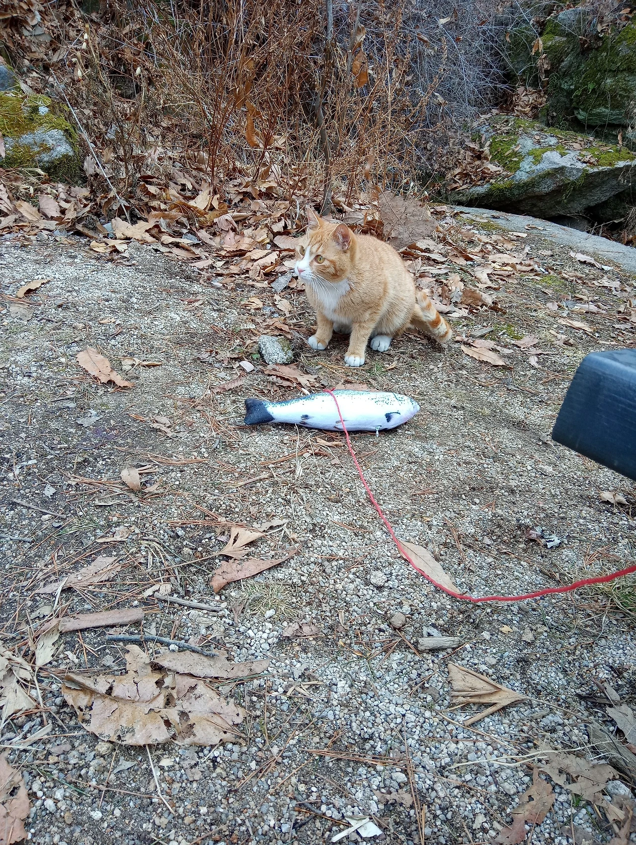 20210215_164252.jpg?type=w3840