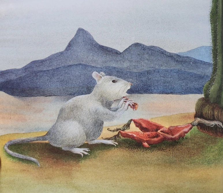 SE-211c1ce4-6539-414d-8ebc-6ac5fe95a175.png?type=w773