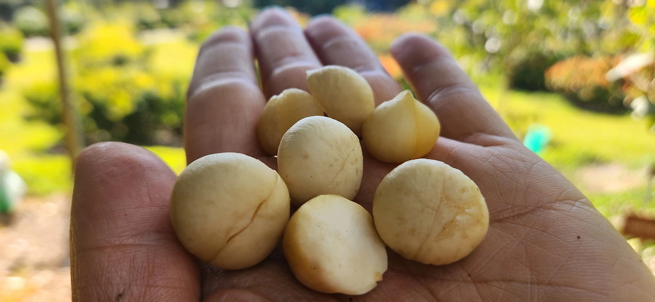 K-_bb0i5JtrKQER2hfLaVcH0eCc