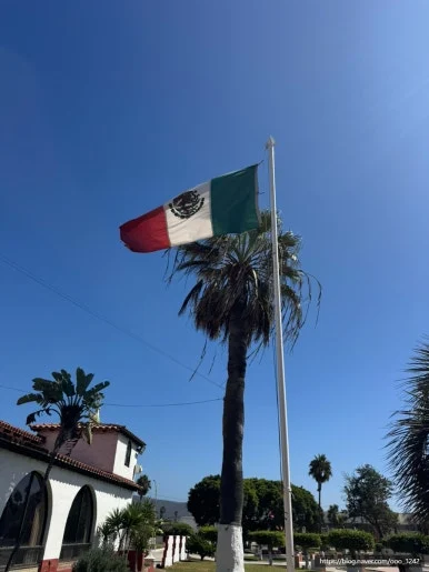 SE-97B16FB8-2ECB-4A69-8EBB-90DF0366FA78.jpg?type=w386