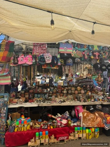 SE-81940732-ACBD-4C32-A8DA-886CE4F7C9C7.jpg?type=w386