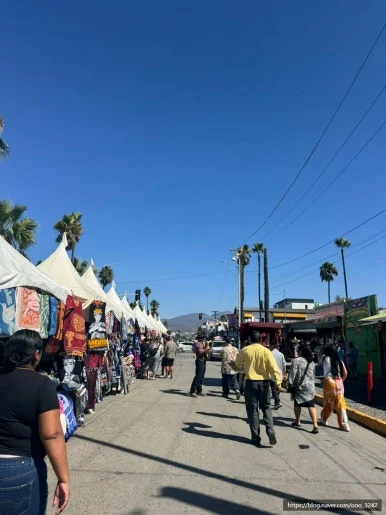 SE-C4E2C03E-D6D2-4E26-ACF3-549AA6CBAC98.jpg?type=w386