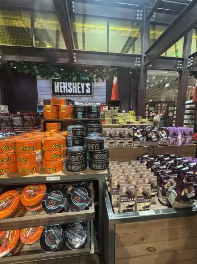 IMG%EF%BC%BF8051.jpg?type=w386