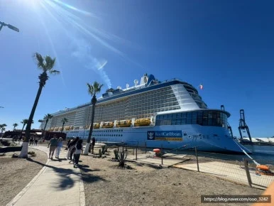 SE-7CD9FF82-0AB4-499A-BF6E-B7F42EC9B1FB.jpg?type=w386