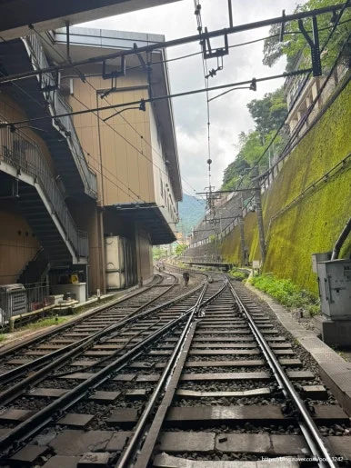 SE-D49E5738-A7AF-4C45-A293-53705768498F.jpg?type=w386