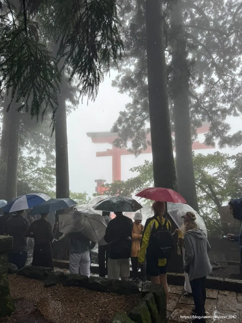 SE-3163091D-E8DB-4B54-80AE-B477A5A2AC73.jpg?type=w773