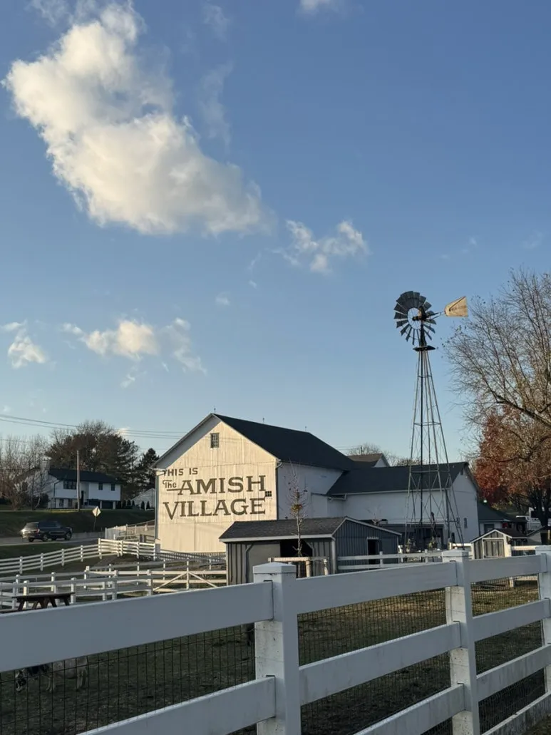 IMG%EF%BC%BF8135.jpg?type=w773