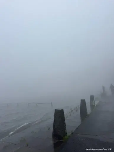 SE-38D5B617-7982-470B-B219-8F7DD398367D.jpg?type=w386