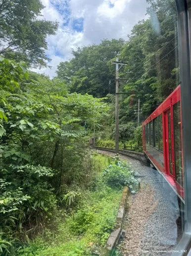 SE-396DC5C6-18AB-4059-9B7B-A156E39720C6.jpg?type=w386