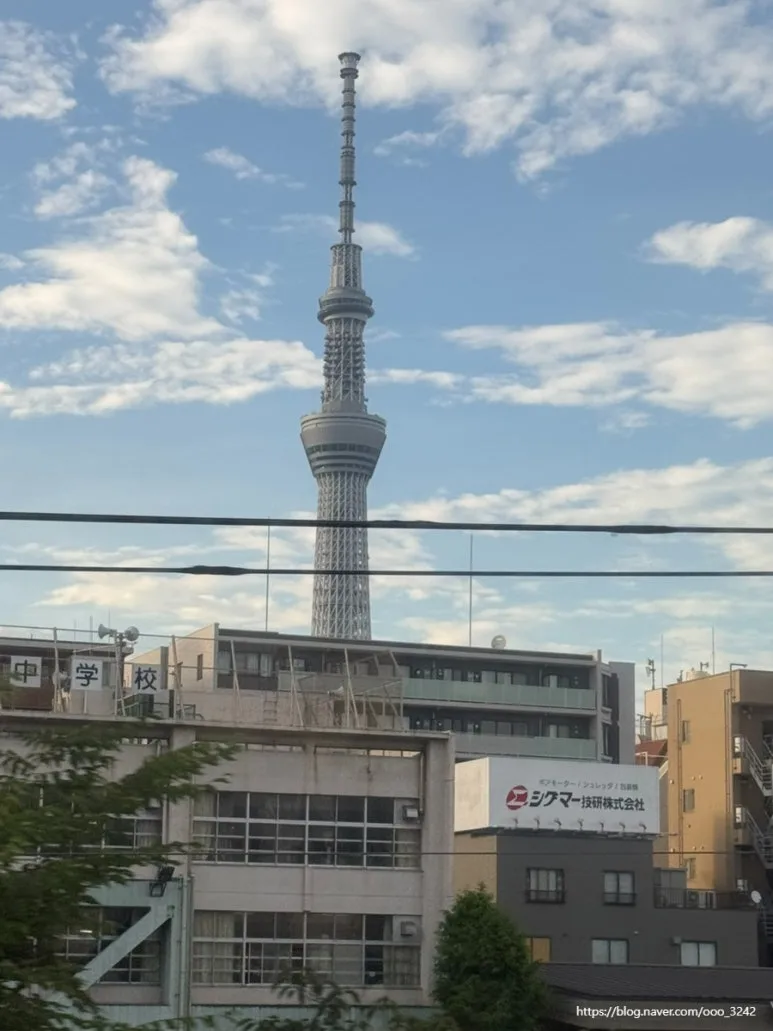 SE-0CF993BA-0787-4AC0-B22E-A454FB457C98.jpg?type=w773