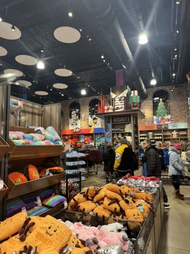 IMG%EF%BC%BF8033.jpg?type=w386