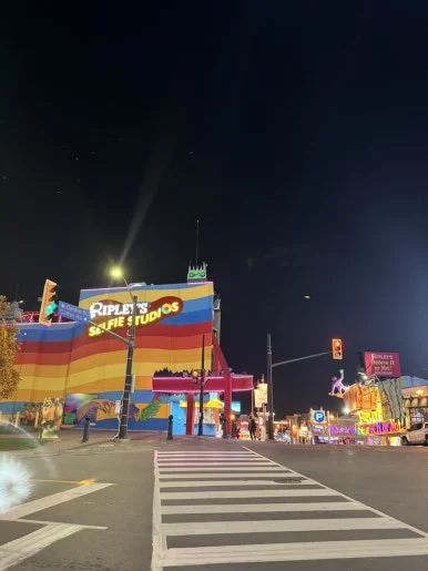 IMG%EF%BC%BF7936.jpg?type=w386