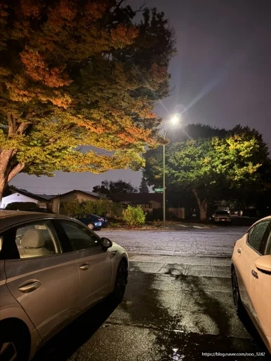 SE-4C7A4E53-3E2A-4E4B-8B4F-83123B7F058E.jpg?type=w386