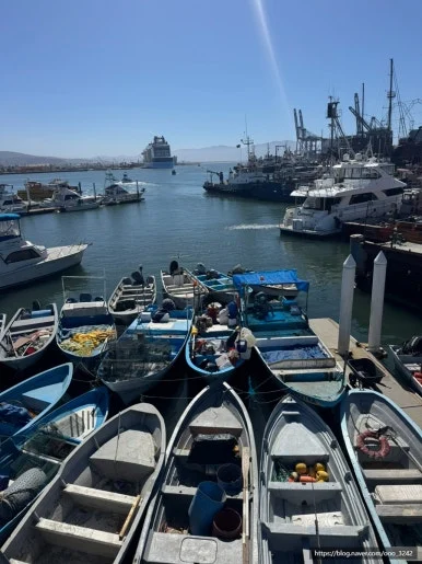 SE-50C195D6-495A-4B84-BA70-97D59B0385E7.jpg?type=w386