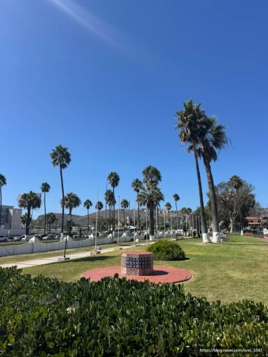 SE-C4FA46BE-C041-485B-A12C-2ABA61C8CAFB.jpg?type=w386