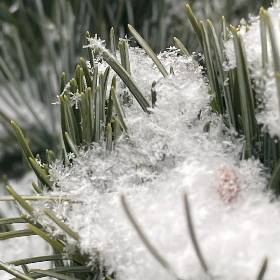 IMG_9423.jpg?type=w3840