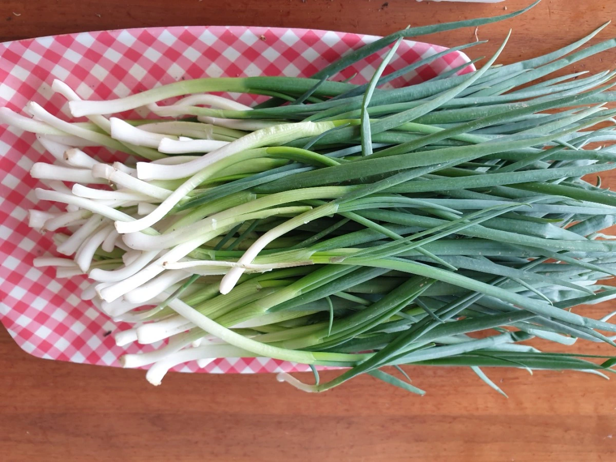 SE-22528722-a516-11ec-bdd0-b77ebe361dbd.jpg?type=w3840