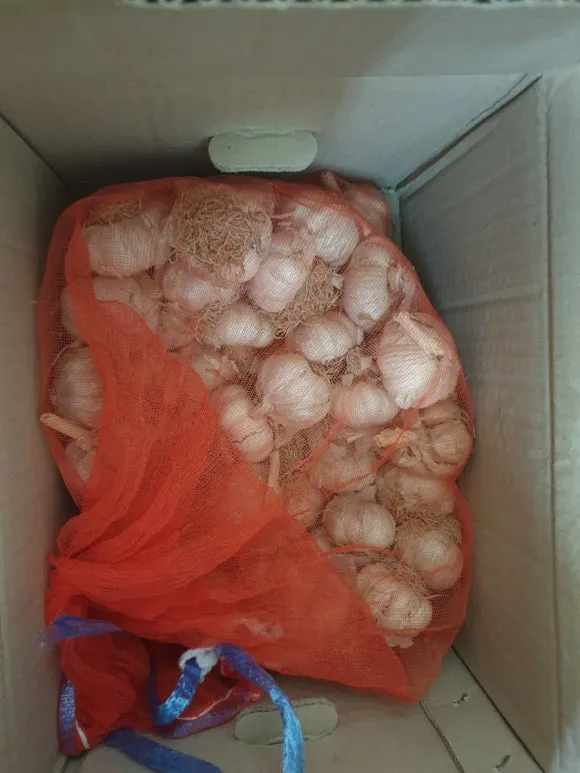 20220316%EF%BC%BF083122.jpg?type=w580