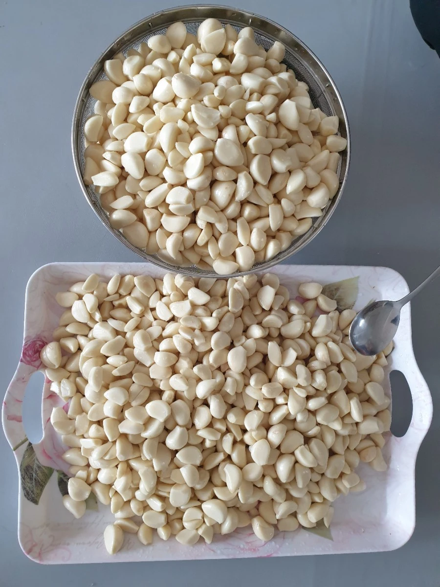 20220317%EF%BC%BF114007.jpg?type=w3840