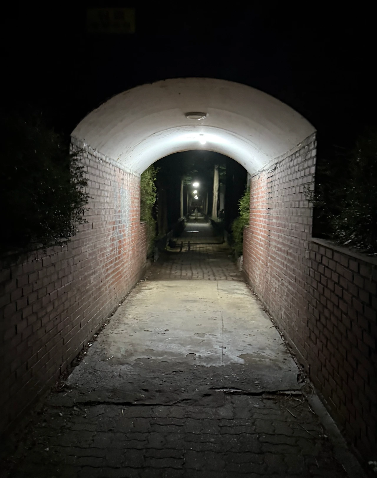 KakaoTalk_Photo_2025-09-16-21-43-09 006.jpeg