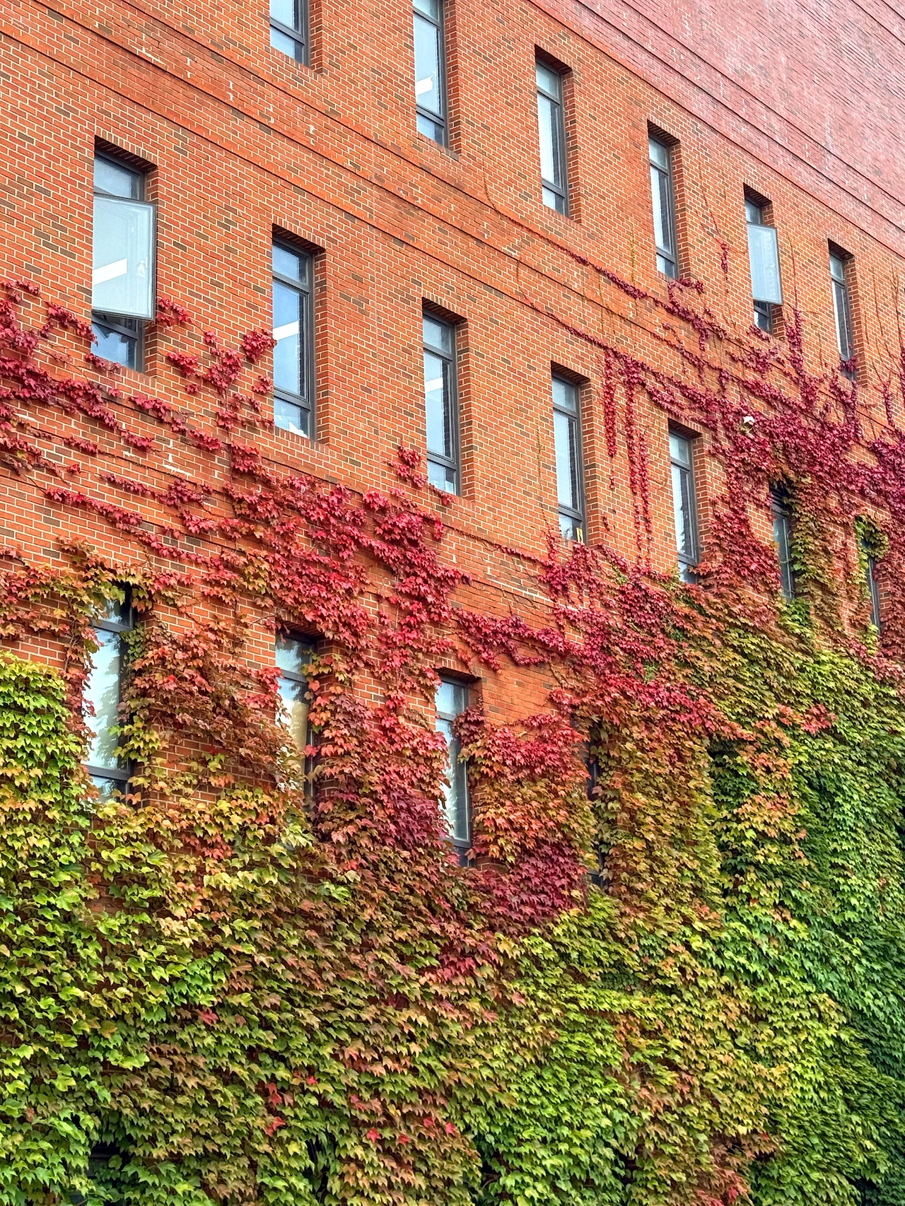 KakaoTalk_Photo_2025-09-28-23-16-46 010.jpeg