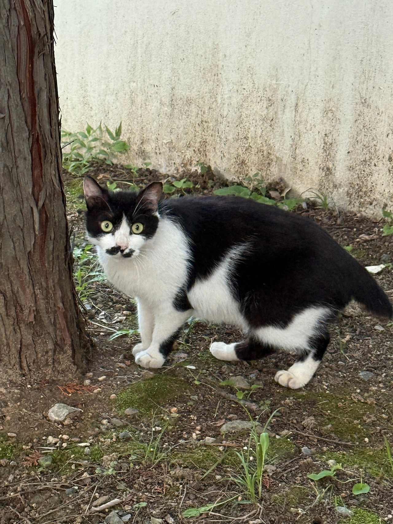 KakaoTalk_Photo_2025-09-16-21-43-09 004.jpeg