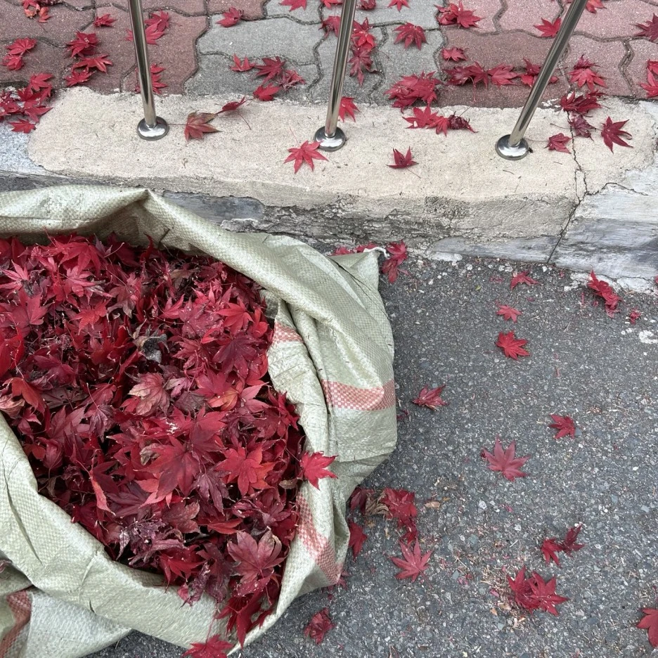 KakaoTalk_Photo_2023-12-06-11-55-58_015.jpeg?type=w1