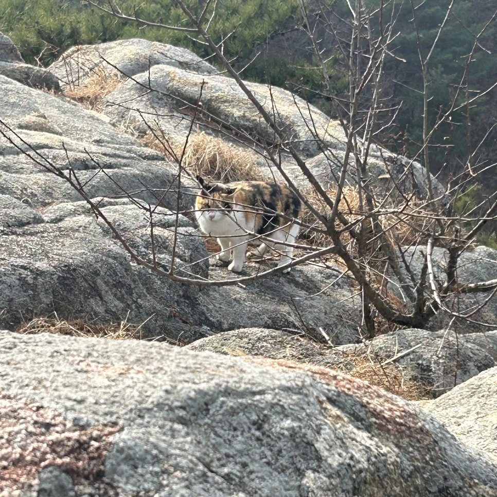 IMG_3340.jpg?type=w966