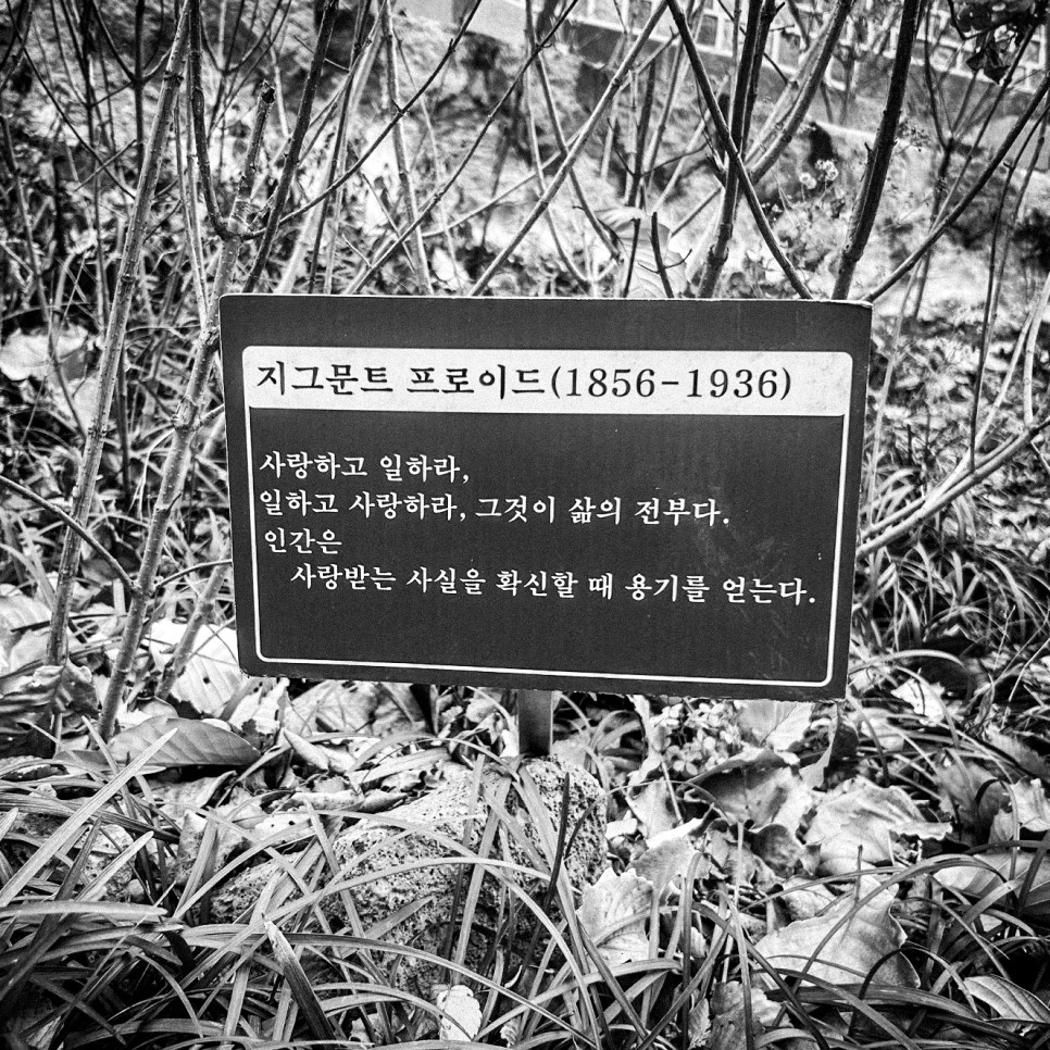 SE-992a758a-ec99-43fd-9015-47d6fa735df1.jpg?type=w966