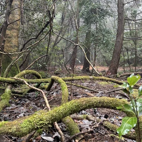 IMG_4045.jpg?type=w466&jopt=2