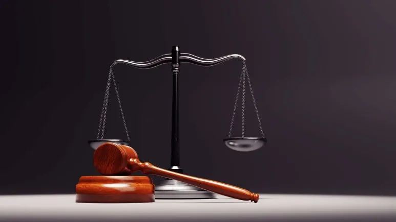 SE-4e0c7674-e686-45ab-9666-d5894466dfa7.jpg?type=w773