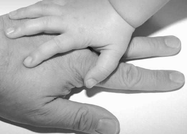 SDFGFD.png?type=w773