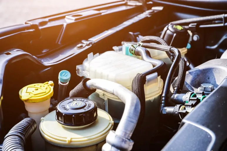 CK_tc02730000745.jpg?type=w773