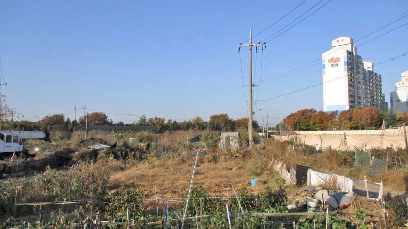 IMG_0389_-_%EB%B3%B5%EC%82%AC%EB%B3%B8.JPG?type=w800