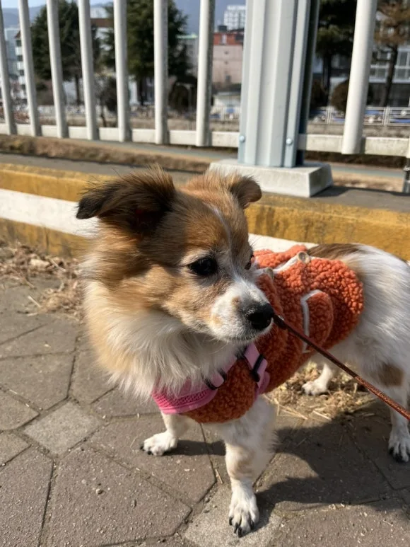 IMG_5945.jpg?type=w580