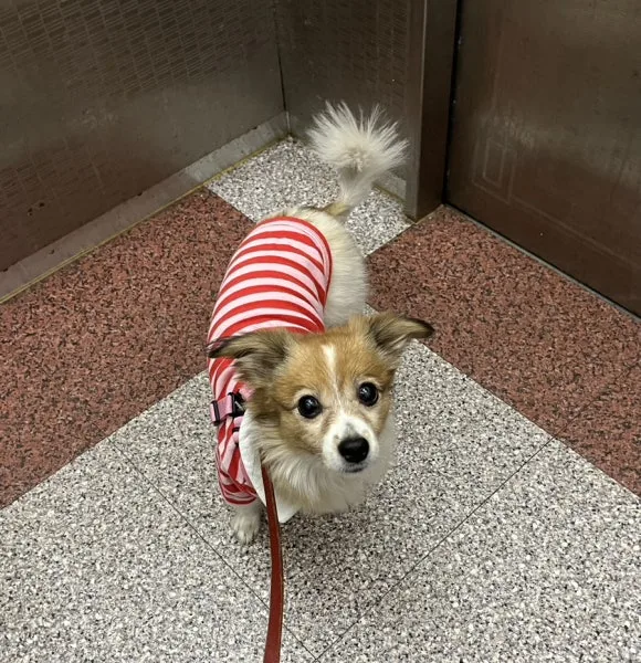 IMG_3574.jpg?type=w580