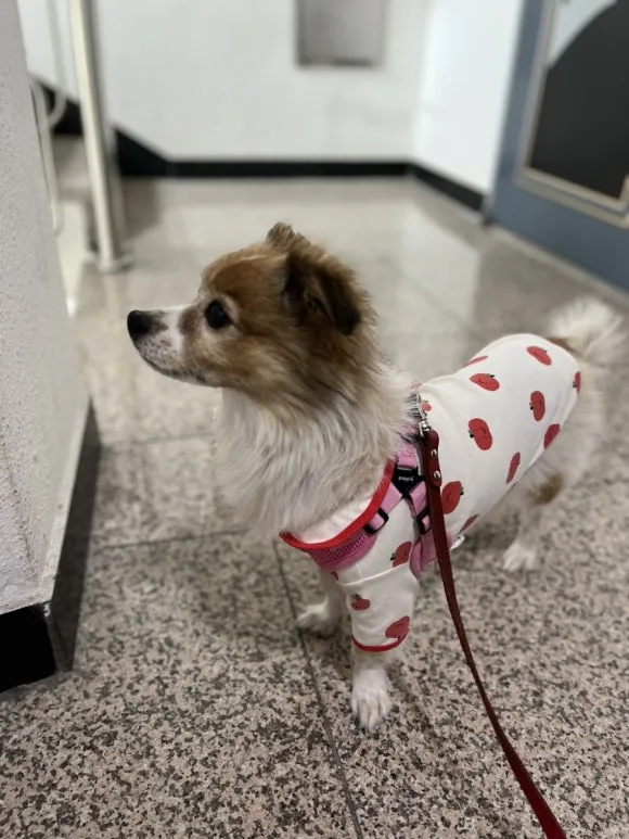 IMG_3510.jpg?type=w580