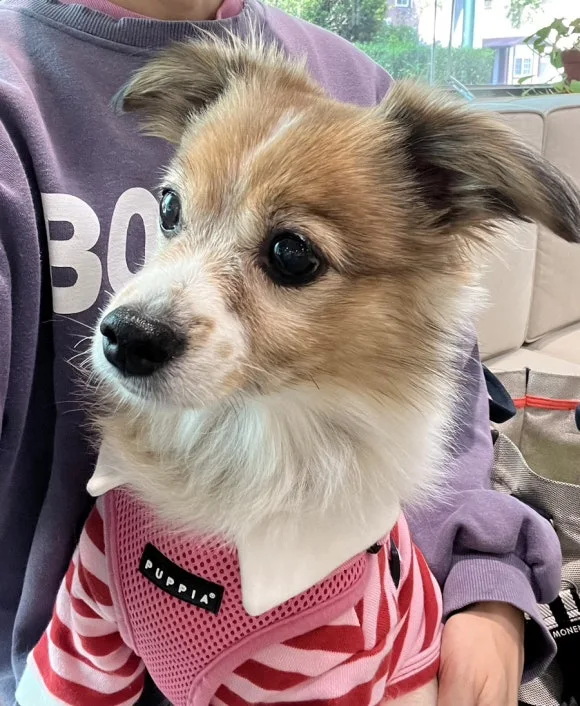 IMG_3595.jpg?type=w580