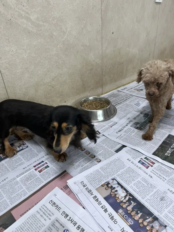 IMG_3379.jpg?type=w580