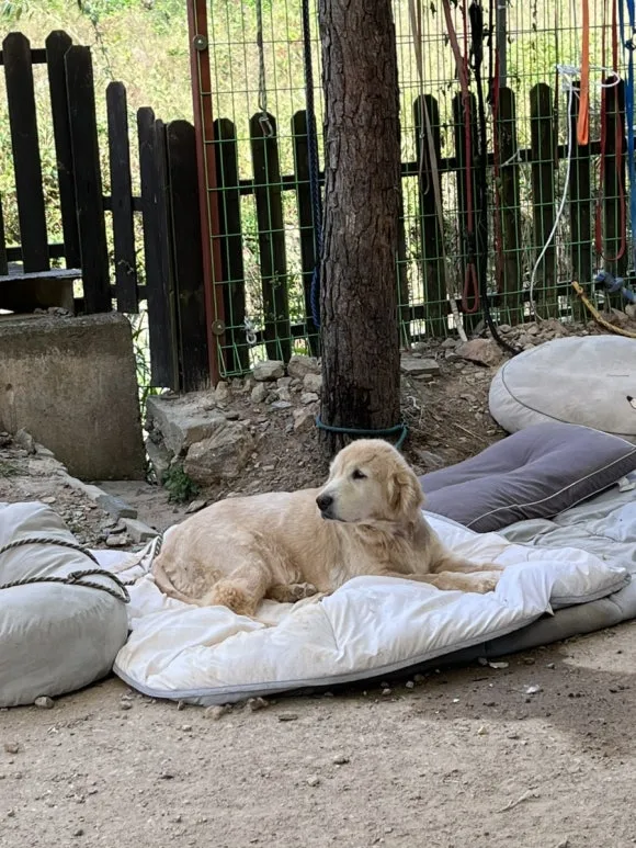 IMG_3352.jpg?type=w580