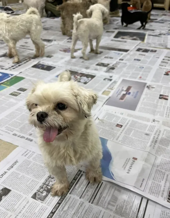 IMG_3373.jpg?type=w580